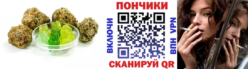 Cannafood конопля  наркошоп  блэк спрут как зайти  Новая Ладога 