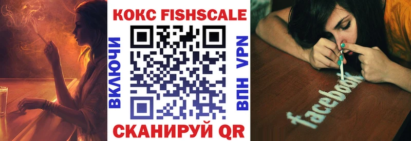 цена наркотик  Новая Ладога  COCAIN Эквадор 