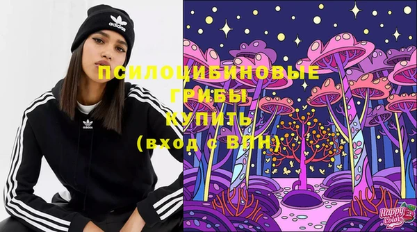 прущая мука Армянск