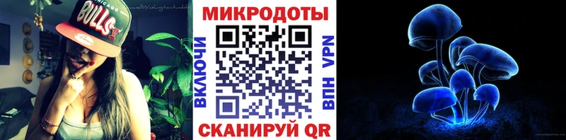 Галлюциногенные грибы мицелий  Новая Ладога 